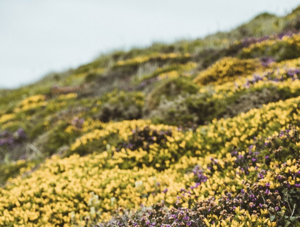 Embedding Sustainability: Making It Real, Relevant, and Rewarded in Business