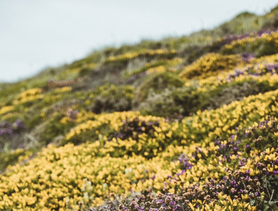 Embedding Sustainability: Making It Real, Relevant, and Rewarded in Business