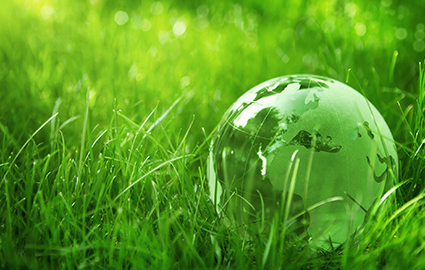 EcoVadis, Evolution, 2025