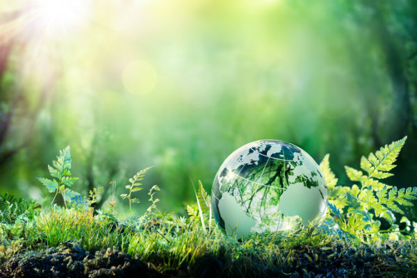 ISO 14001,Leading the change, Sustainable growth