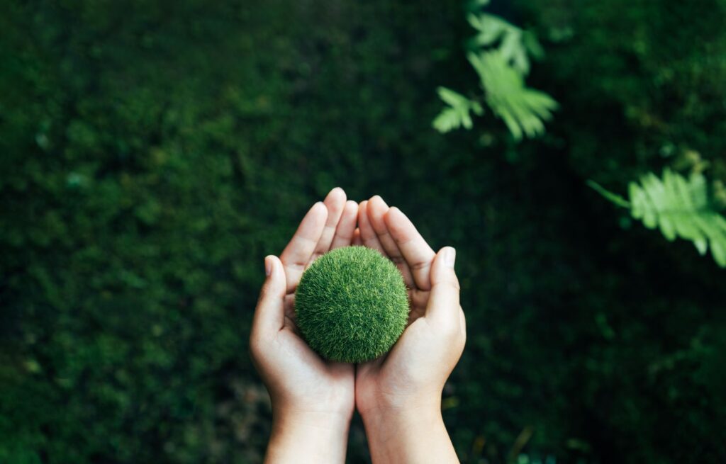 Embedding Sustainability: Making It Real, Relevant, and Rewarded in Business