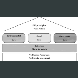 Global ESG Implementation Principles at COP29