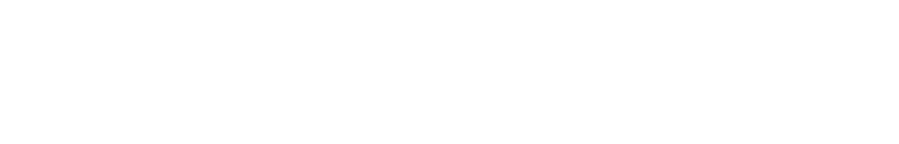 Buseireann-logo.