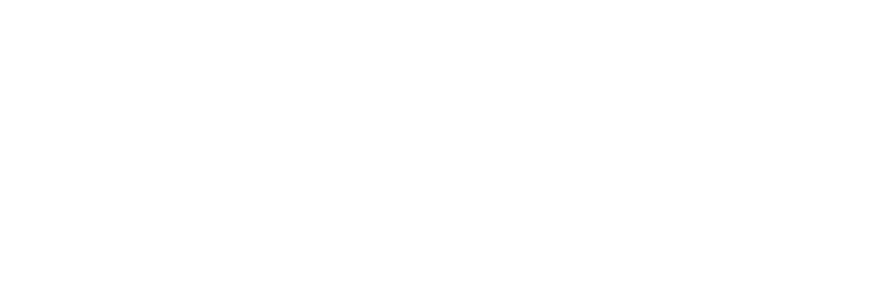 DSG