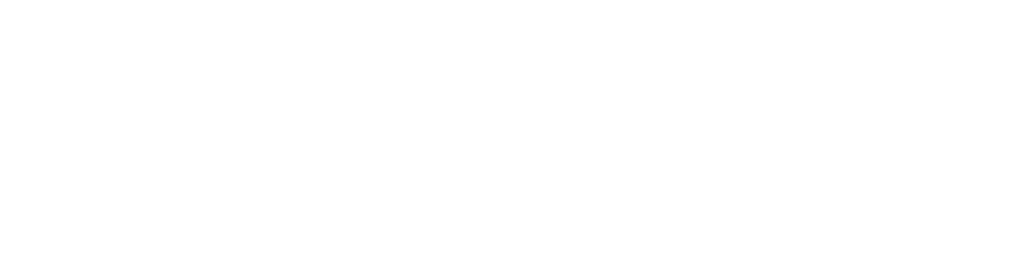 Stryker_Corporation-Logo.wine 2