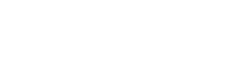 Tirlan logo
