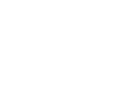 leo logo