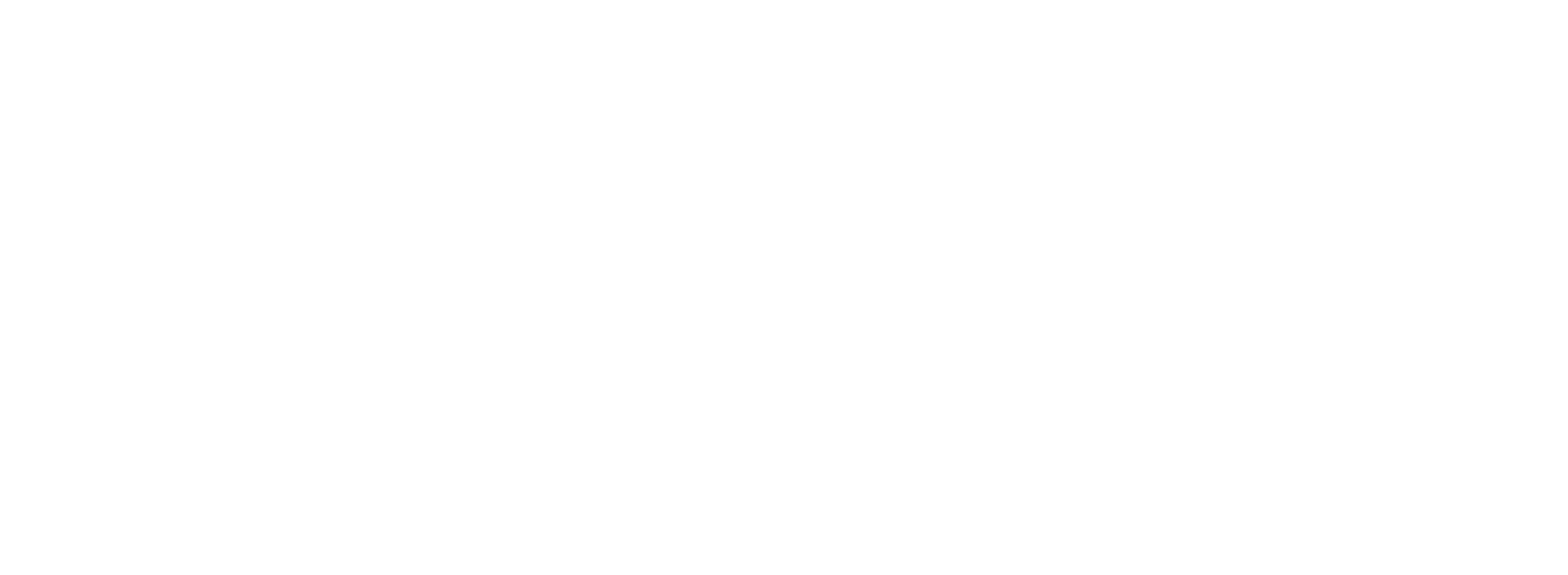 nsai-2.png